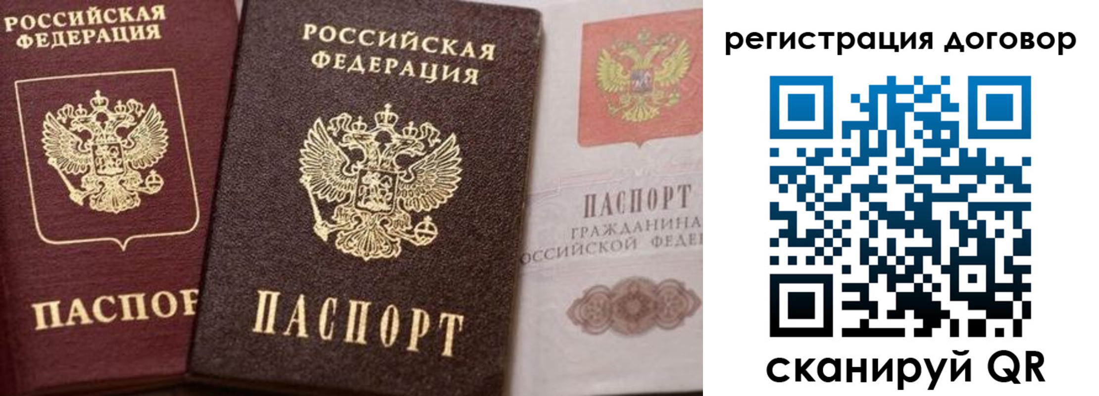 прописка 2025 в Электрогорске