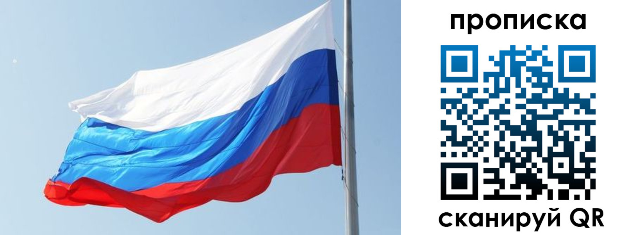 прописка для школы в Электрогорске